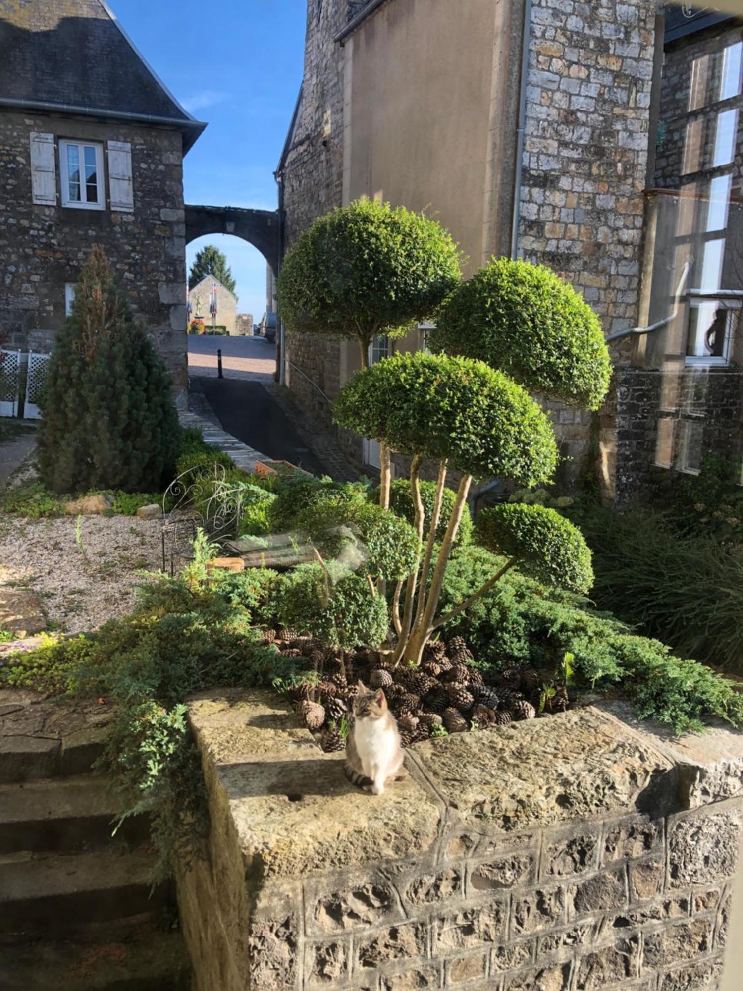 La Maison Sur Les Remparts 栋弗龙 外观 照片